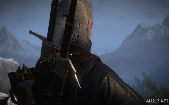 巫师3狂猎各类流派图,巫师3各流派攻略