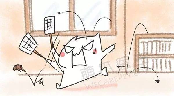 宠物除蚤除螨,有跳蚤用什么药