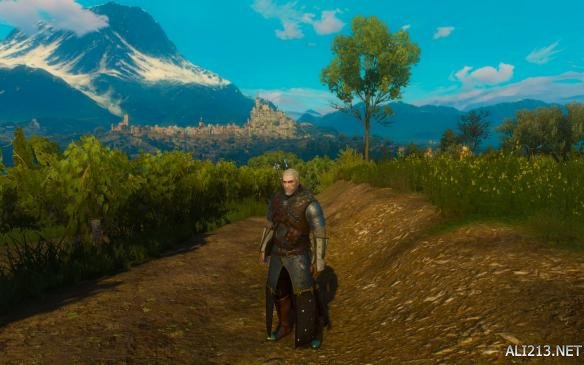 巫师3狂猎各类流派图,巫师3各流派攻略