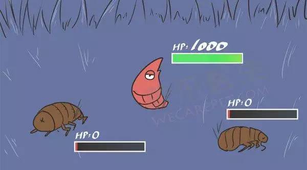 宠物除蚤除螨,有跳蚤用什么药