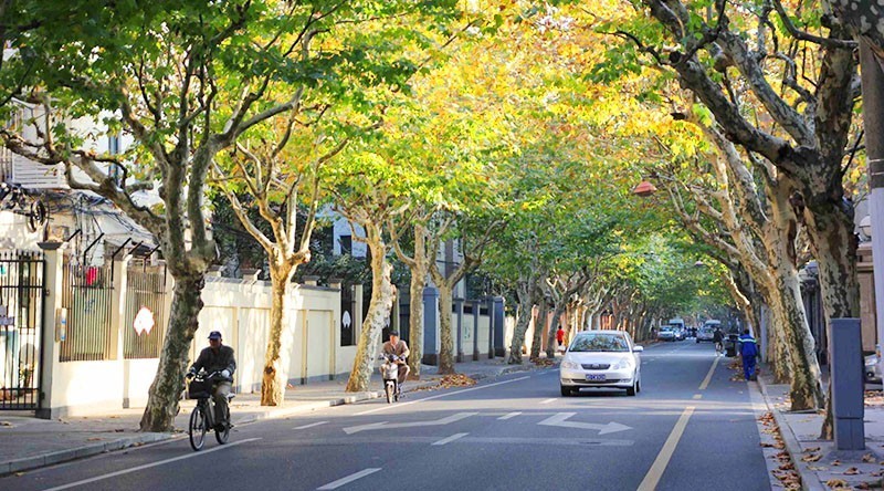 514米长的*安泰**路，留下多少名人的印记