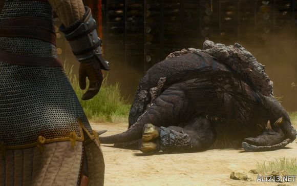 巫师3狂猎各类流派图,巫师3各流派攻略