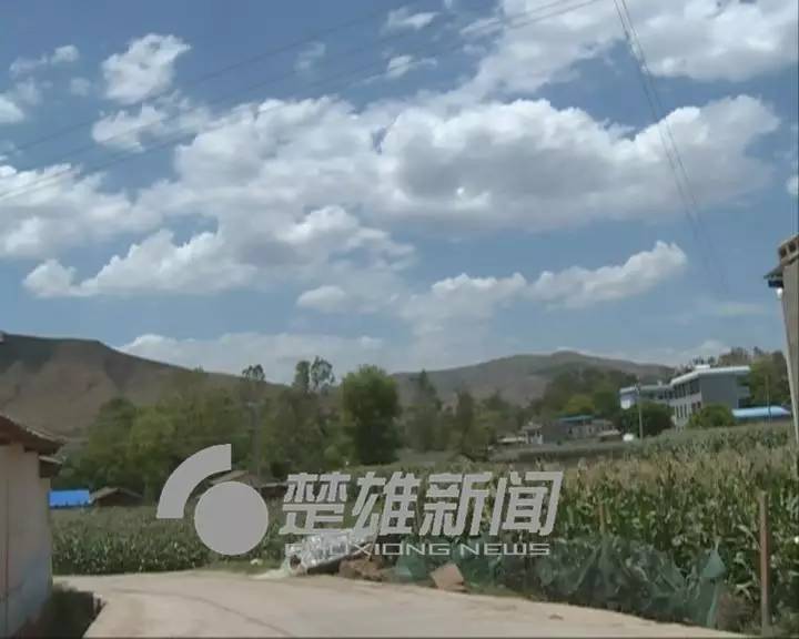 无语|孙子为过网瘾盗窃祖母养老钱