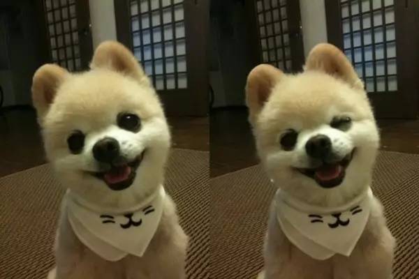 最6问答|独得蚊子专宠,怎样才能叮过无痕?