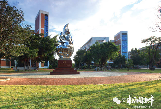 东莞中考各学校喜报,东莞松山湖实验中学中考喜报