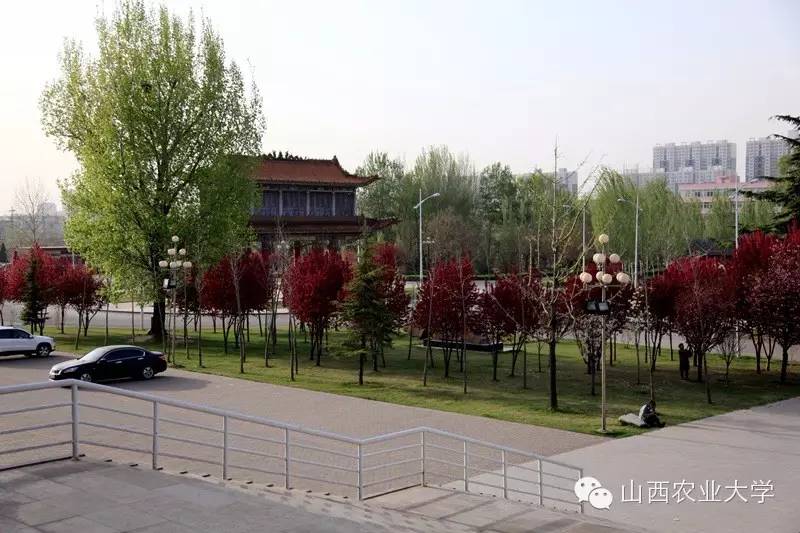 在山西农业大学有哪些学院呢？学院又是如何规划的呢?戳图文查看