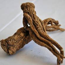 当归活血效果明显吗,当归能活血化瘀通经活络吗