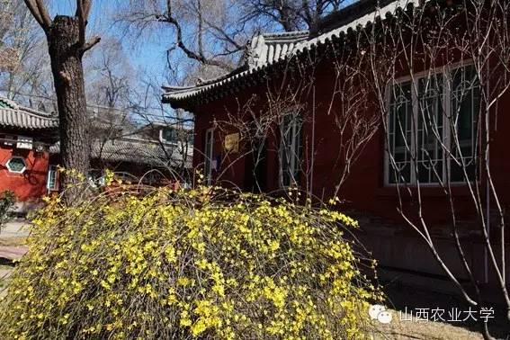 在山西农业大学有哪些学院呢？学院又是如何规划的呢?戳图文查看