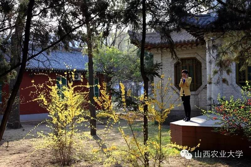 在山西农业大学有哪些学院呢？学院又是如何规划的呢?戳图文查看
