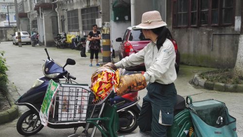 疯狗咬人责任怎么处理,电梯偶遇疯狗咬人该怎么办