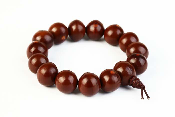 你对星月菩提有了解吗,星月菩提的真实内幕