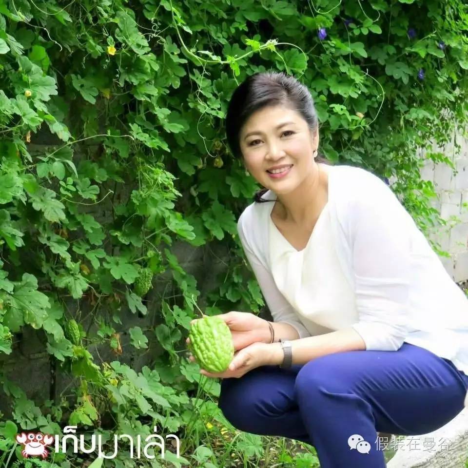 泰国第一美女前总理英拉晒相片变身旅游大使（多图）