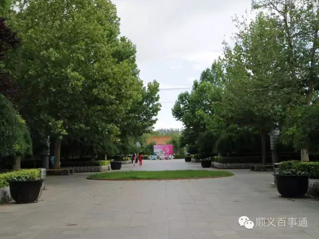 北京市顺义公园,从小就爱上你