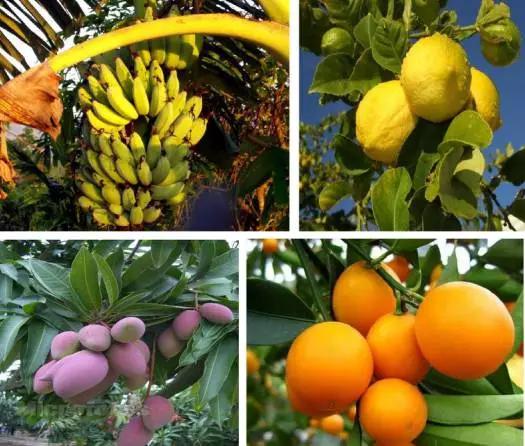 太原投资2000万风情文化节!引来50万只萤火虫!20万只蝴