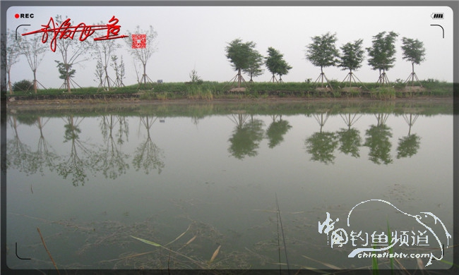 马踏湖国家湿地公园远足,马踏湖国家湿地公园游览路线