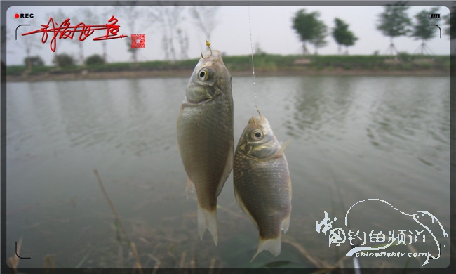 马踏湖国家湿地公园远足,马踏湖国家湿地公园游览路线