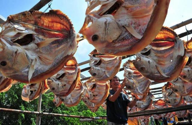 枸杞岛游记,枸杞岛两天一夜最全旅游攻略
