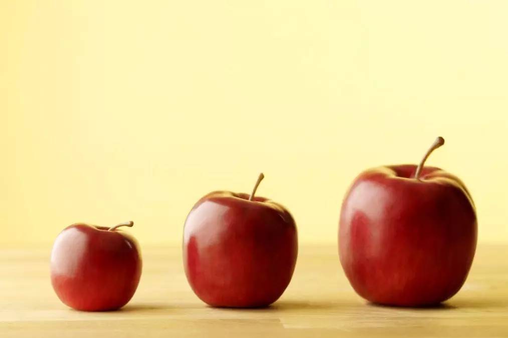 植物果实怎么分类,植物果实的分类