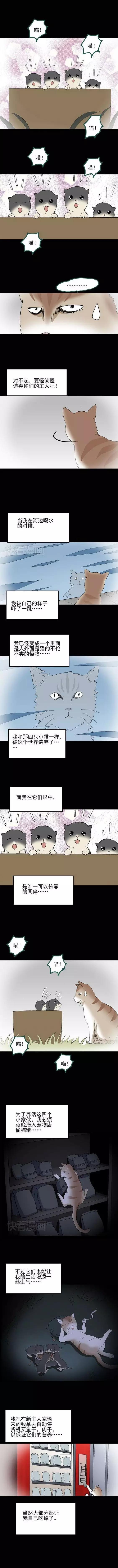 猎奇漫画《怪之猫》，一只搞笑又好色下流的猫