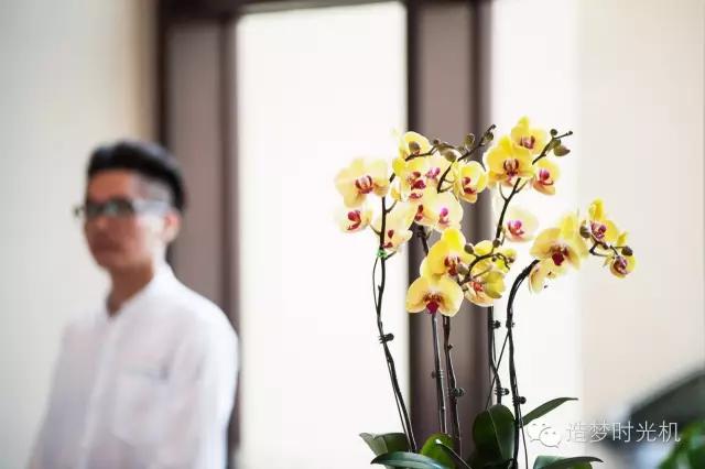 海洋主题酒店攻略,长隆海洋王国马戏酒店自助餐