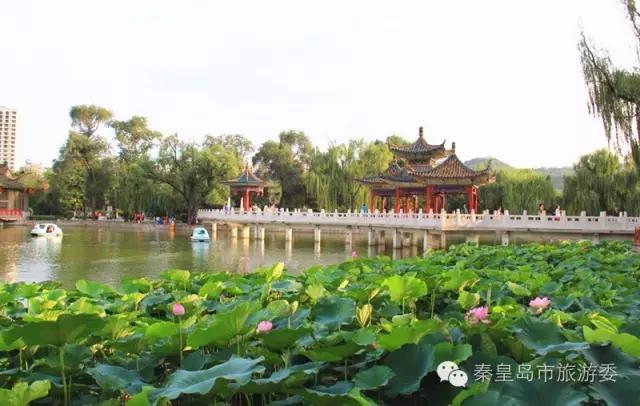 秦皇岛城市休闲风情游攻略，带你玩点不一样的！（附精品路线推荐