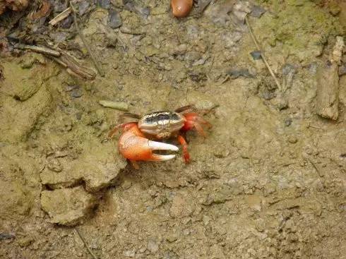 你为什么想留在珠海,你为什么选择来珠海