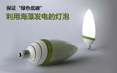 我伙呆!这些物质也能发电点亮LED灯？