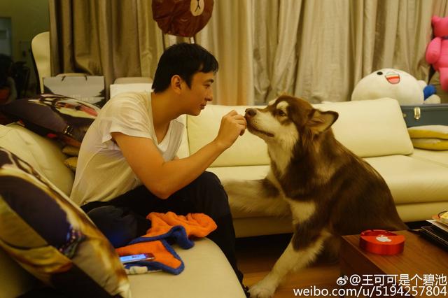 王思聪宠物狗链子,王思聪给爱犬戴项链