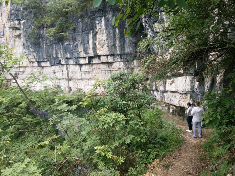 《红旗飘飘》《净土》著名词曲人为《碧血丹心》主题曲再次合作
