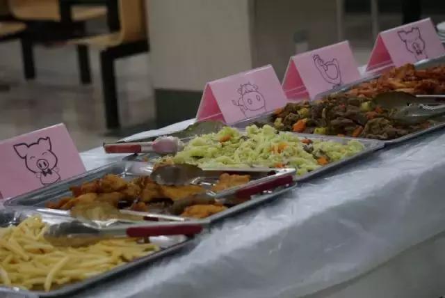 校园欧洲杯足球,国际青少年杯足球联赛赛程