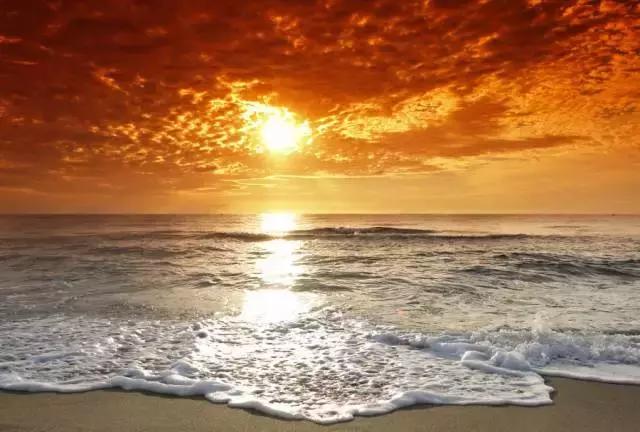 游记日照海边450字,日照游记作文