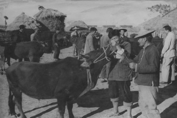 土地集体所有是怎么形成的,国有土地变成集体的