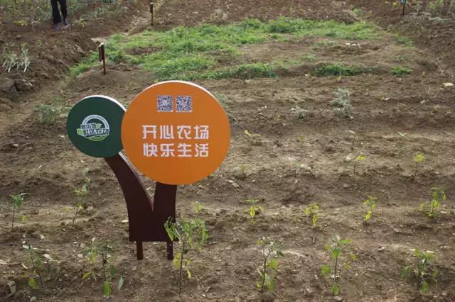 为什么淮南人喜欢当“地主”,看看地主如何管理地的!