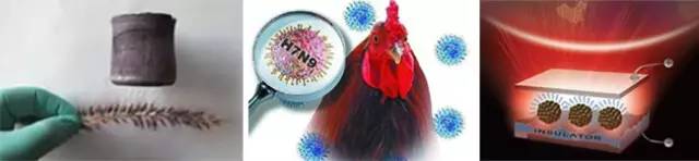 浙大国家科学技术奖,浙江大学十三五科技成果