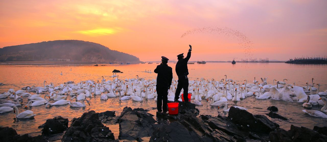 华泰汽车经典评测,现在的华泰汽车怎么样