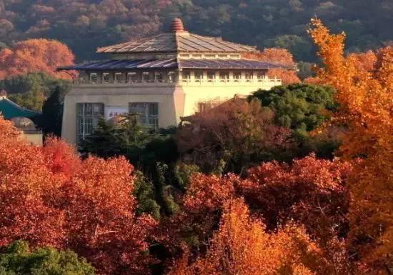 武汉有什么不花钱好玩的地方,武汉美的燃气灶售后服务电话