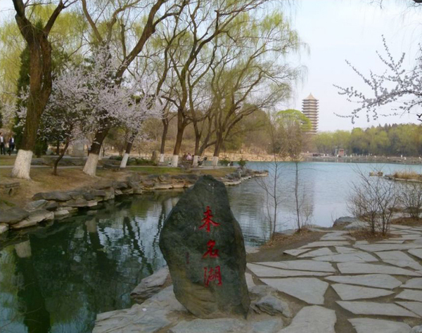 教育行业投融资峰会,e学教育