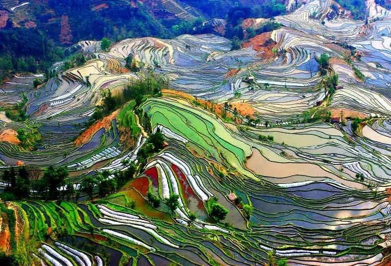 合肥到云南旅游全攻略自由行,合肥出发去云南攻略