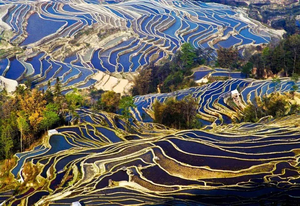 合肥到云南旅游全攻略自由行,合肥出发去云南攻略