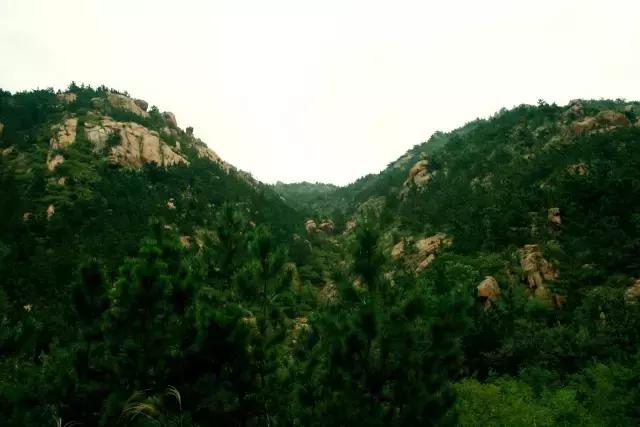 青岛市100个美丽乡村名单,青岛市市级美丽乡村名单