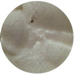 米粉评测真的好吗,米粉整箱测评