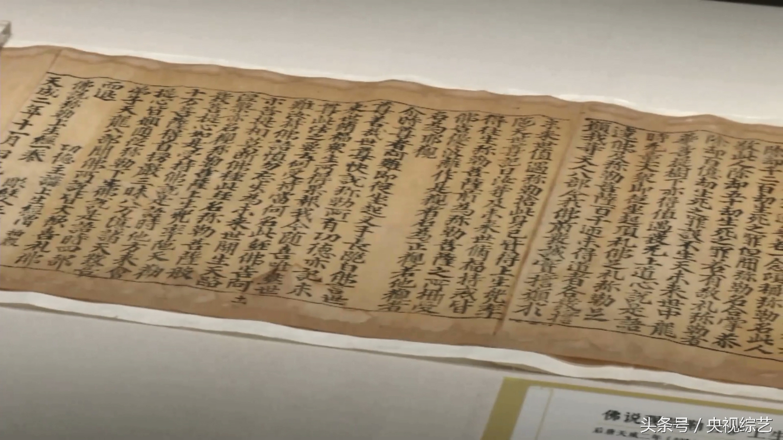 屠呦呦获诺贝尔奖意义英语,屠呦呦获诺贝尔奖是什么奖