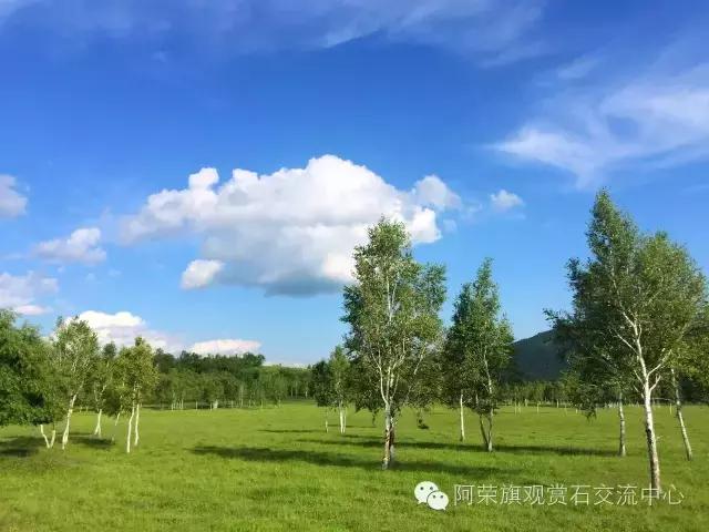 阿荣旗呼伦贝尔,呼伦贝尔市阿荣旗美景