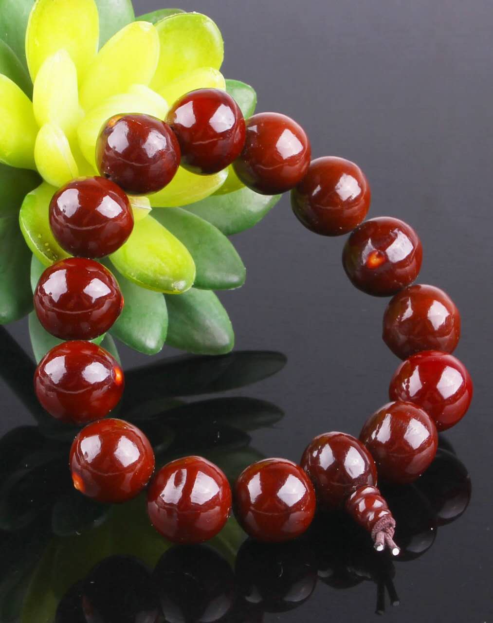 你对星月菩提有了解吗,星月菩提的真实内幕