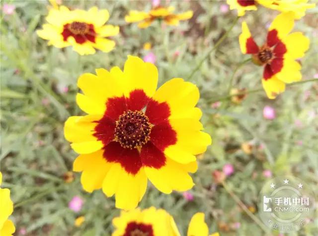 魅蓝3s是最好的一款吗,魅蓝3s100多块钱的怎么样