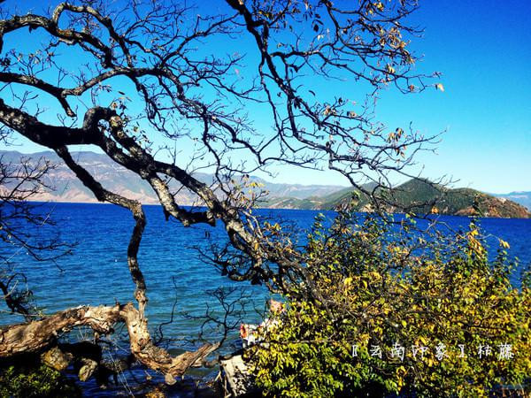 人生若只如初见在广州,人生若只如初见云南