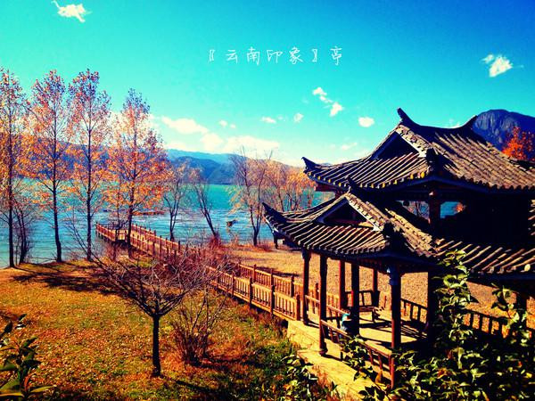 人生若只如初见在广州,人生若只如初见云南