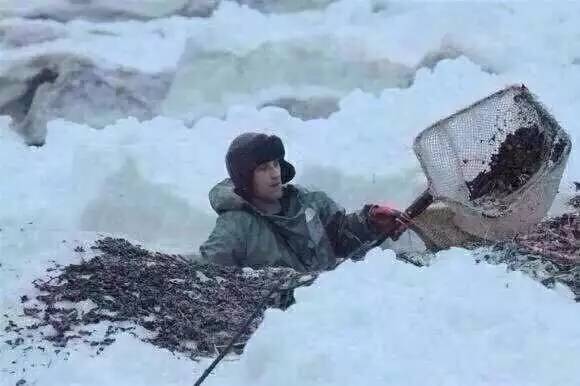 真正的蜜蜡是啥样的,蜜蜡这种东西你真的懂吗