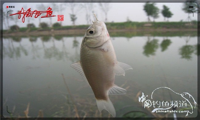 马踏湖国家湿地公园远足,马踏湖国家湿地公园游览路线
