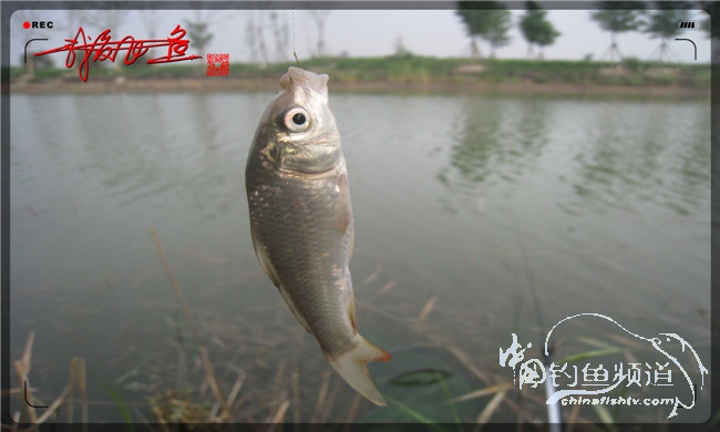 马踏湖国家湿地公园远足,马踏湖国家湿地公园游览路线